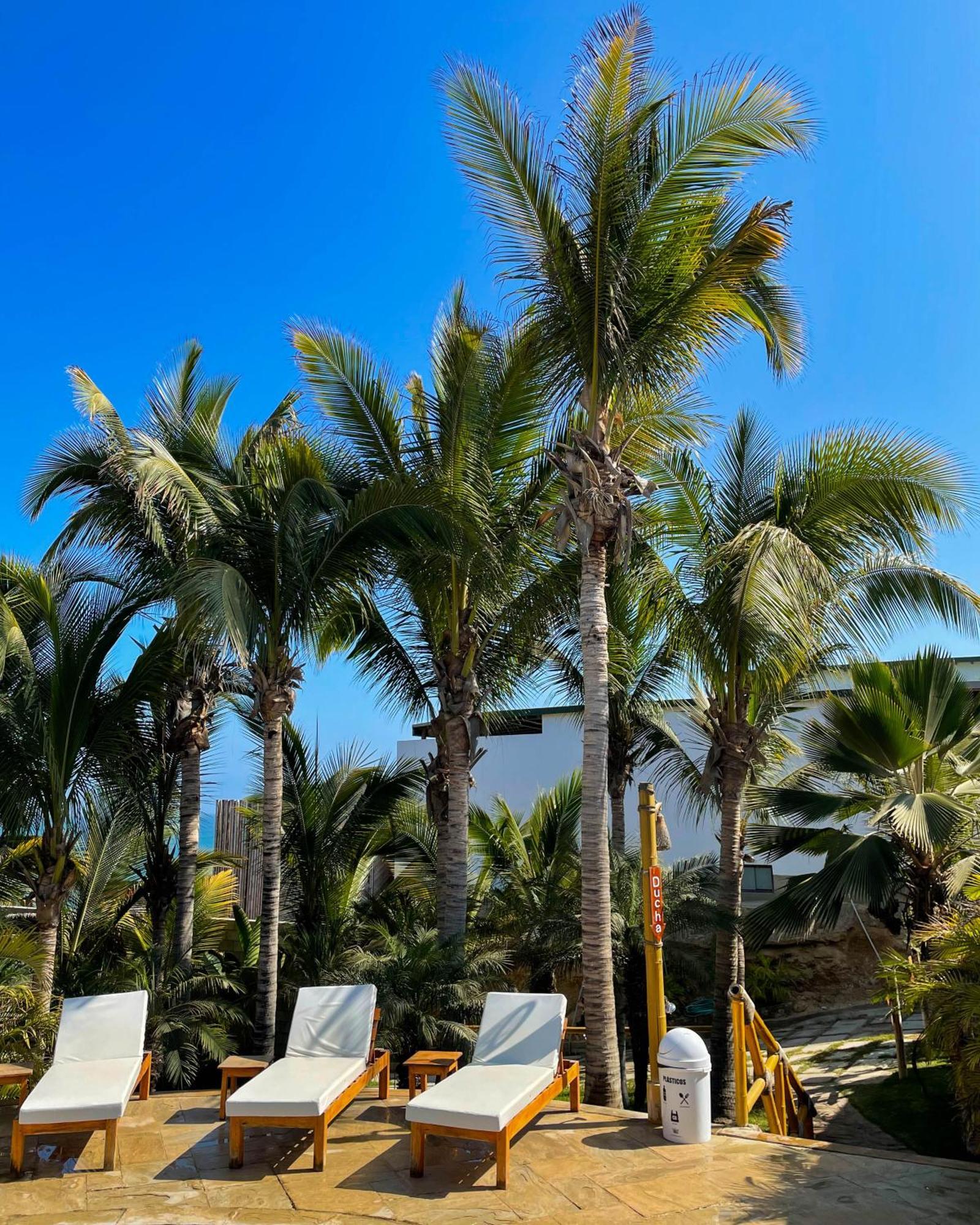 El Mirador De Hotel Vichayito